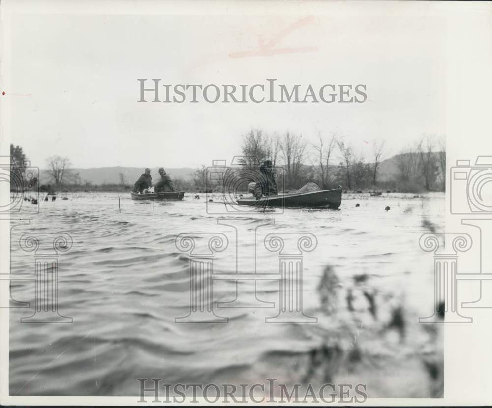 1959 Press Photo Hunters in sloughs glide between stumps and muskrat houses-Historic Images