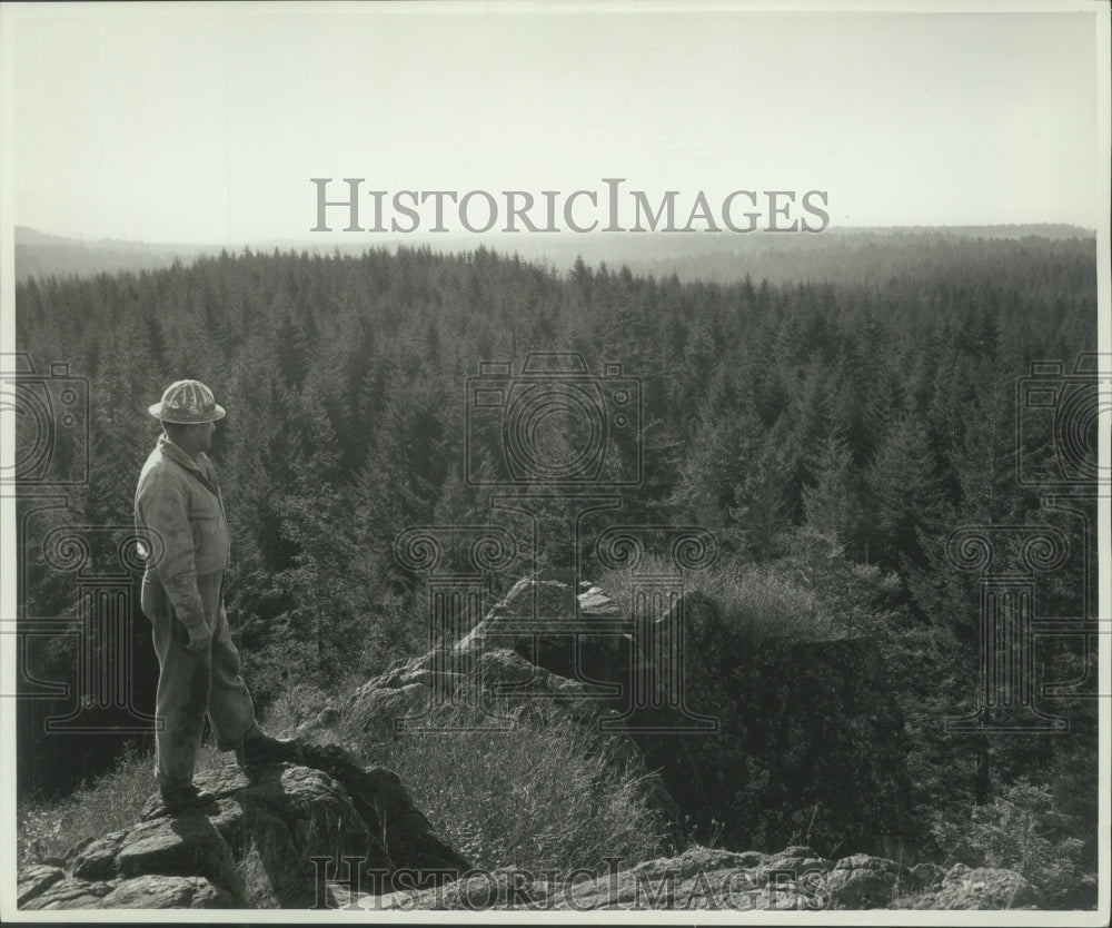 1967 Press Photo Man Stands on Point Overlooking Thick Forest - mjx50554- Historic Images
