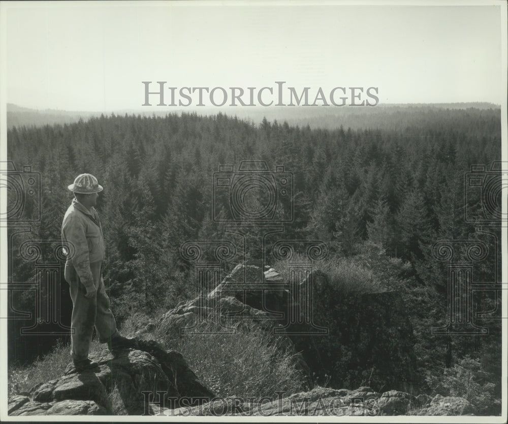 1967 Press Photo Man Stands on Point Overlooking Thick Forest - mjx50554- Historic Images