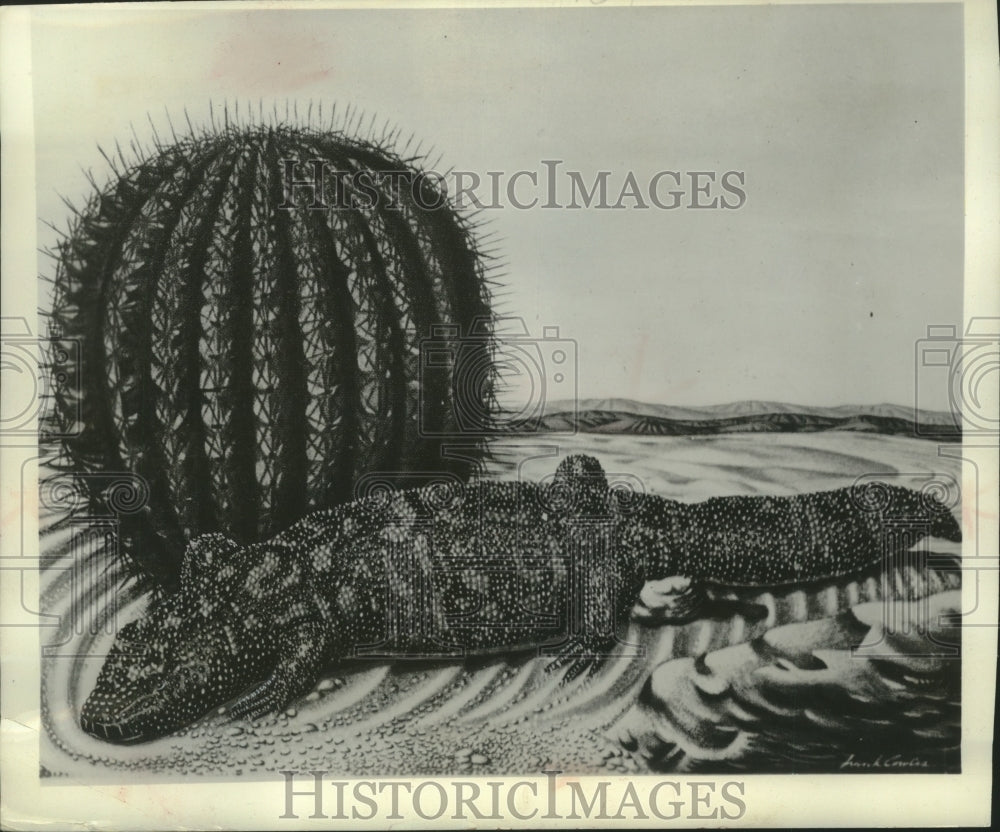 1951 Press Photo A reptile called a gila monster - Historic Images
