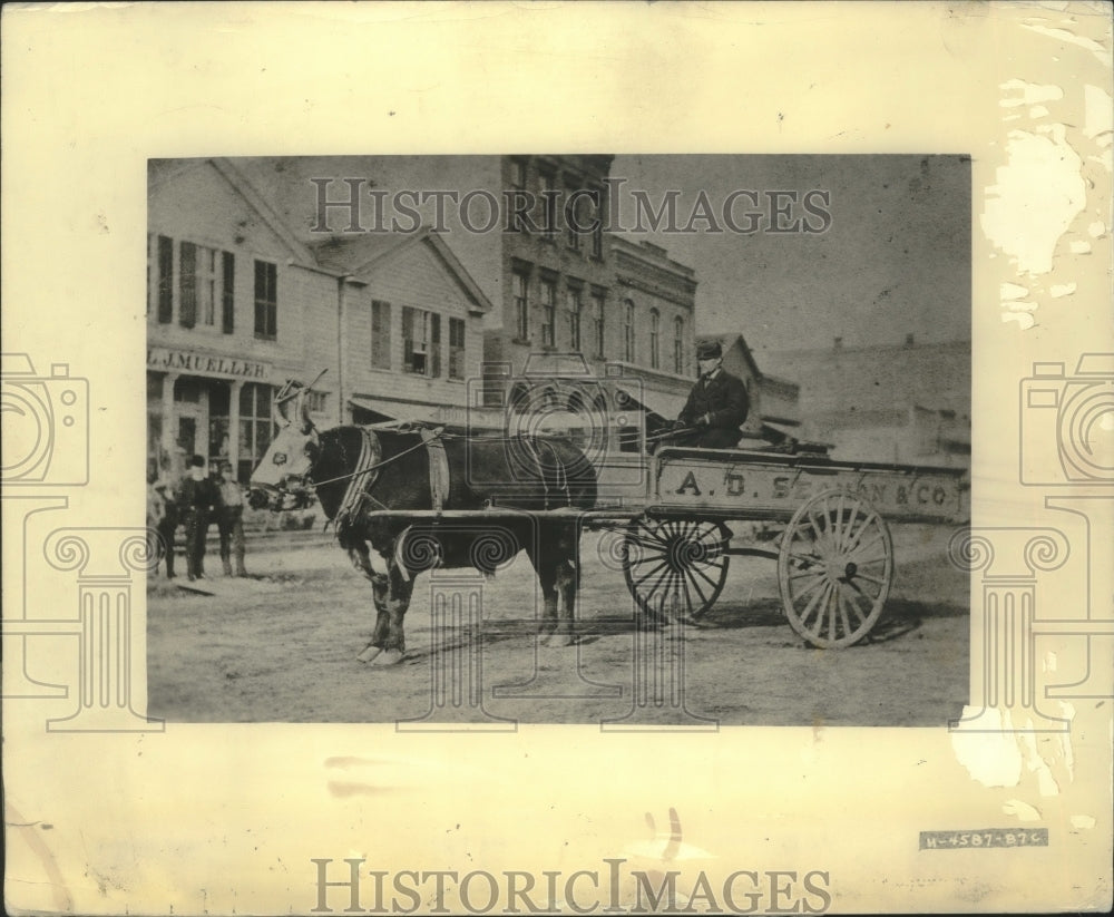 Press Photo Man Drives Wagon In Milwaukee - mjx56719 - Historic Images