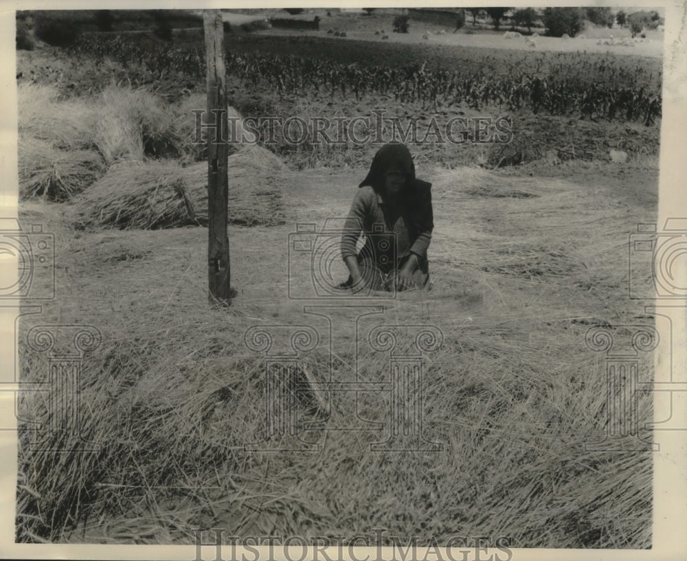 1946 Press Photo Peasant woman pounds wheat grain, Macedonia, Greece - mjx56898- Historic Images
