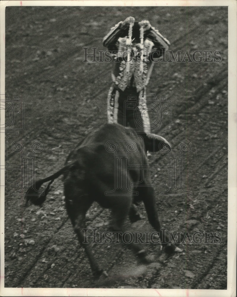 1966 Press Photo Wisconsin-The banderilleros, places sticks into charging bull- Historic Images