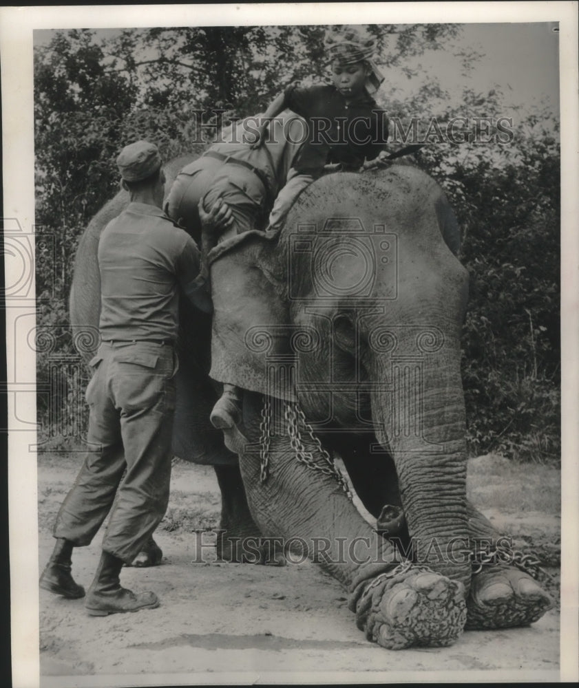 1962 Press Photo Infantryman &amp; Thai boy help soldier onto elephant in Thailand- Historic Images