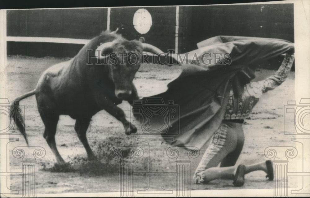 1958 Bullfighter Enrique Loyo faces off with bull in Madrid, Spain - Historic Images