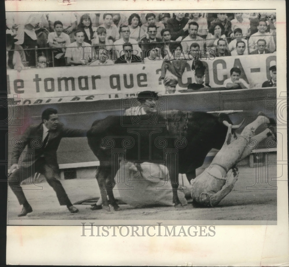 1966 Press Photo Fernando Sepulveda, gored during bullfight in Mexico City. - Historic Images
