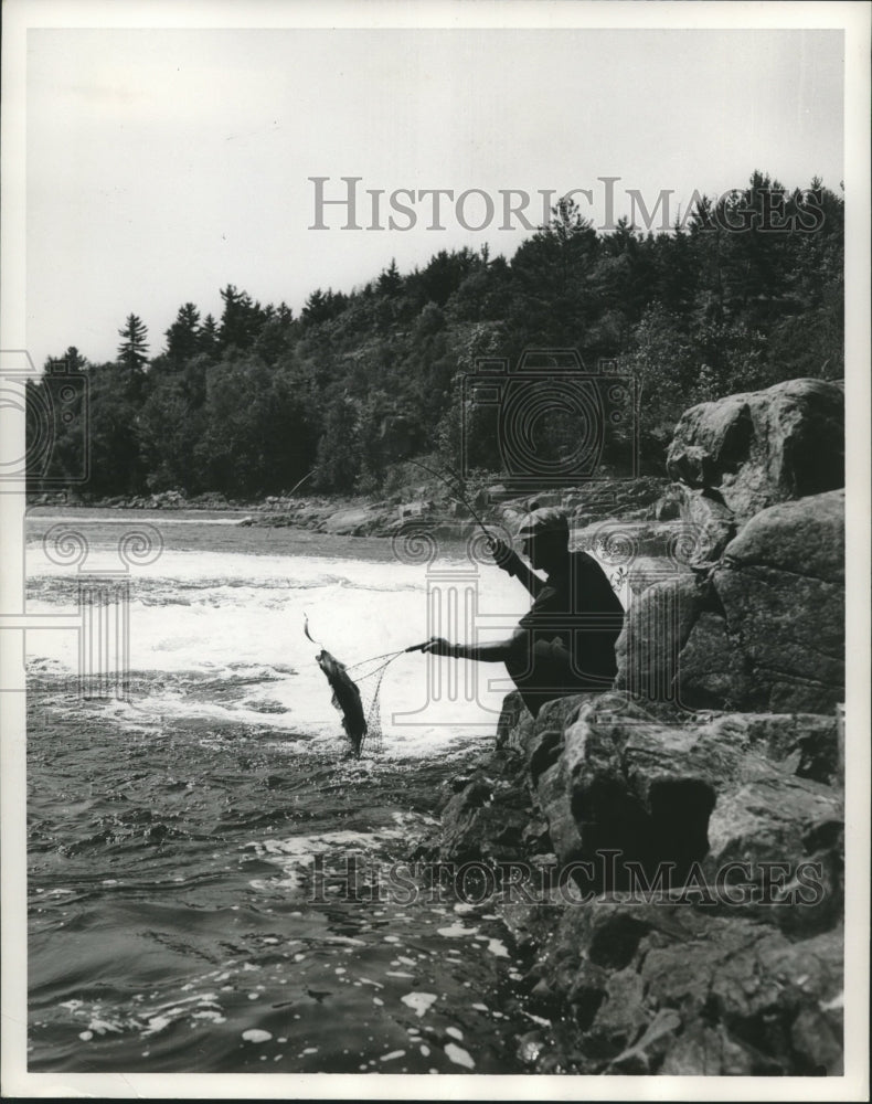 1962 Ontario&#39;s French River- Angler landing a large walleye - Historic Images