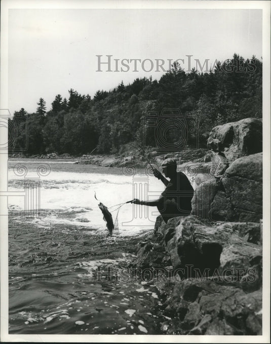 1962 Ontario's French River- Angler landing a large walleye - Historic Images