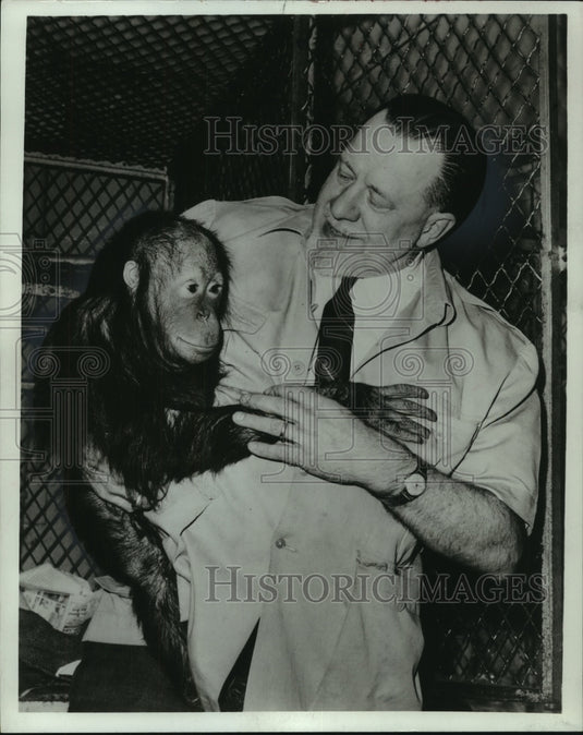 1968 Animal Dealer & Author Henry Trefflich holds Baby Chimpanzee-Historic Images