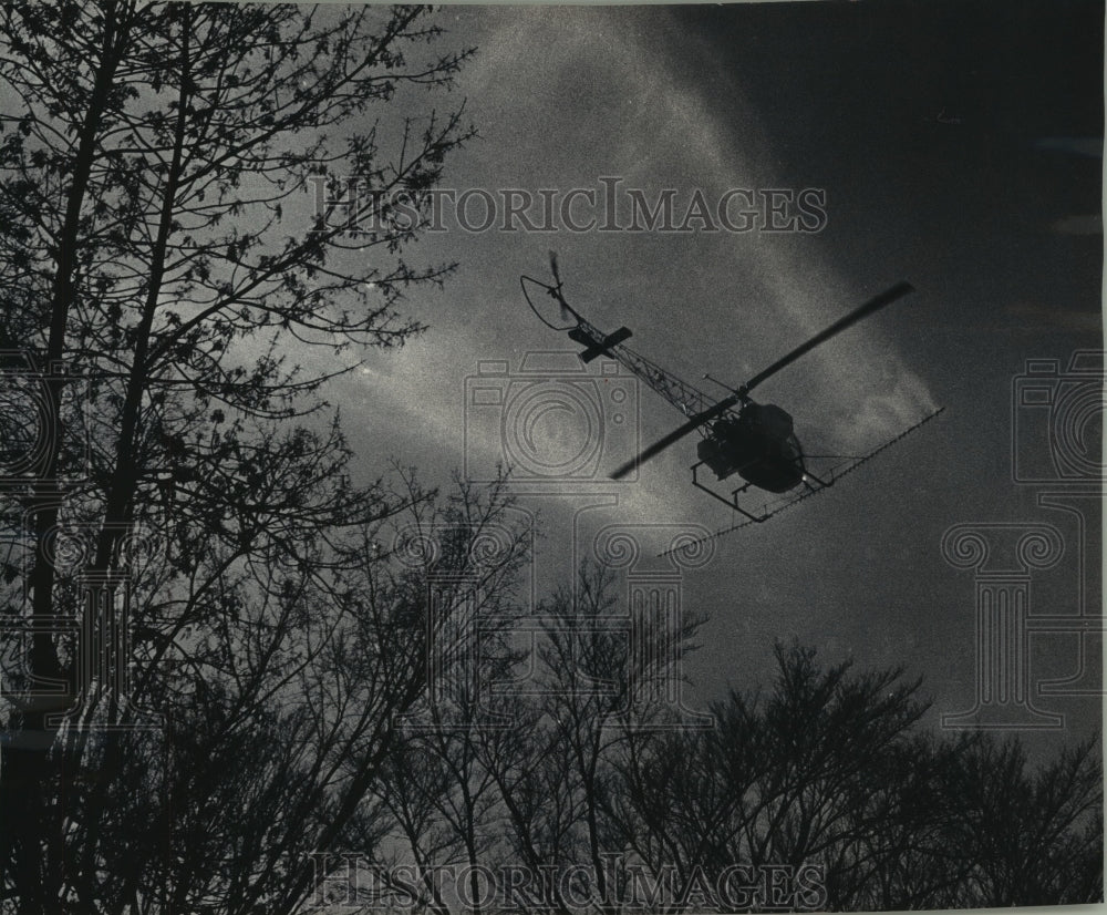 1965 Press Photo Spraying trees in Shorewood, Milwaukee, t prevent disease- Historic Images