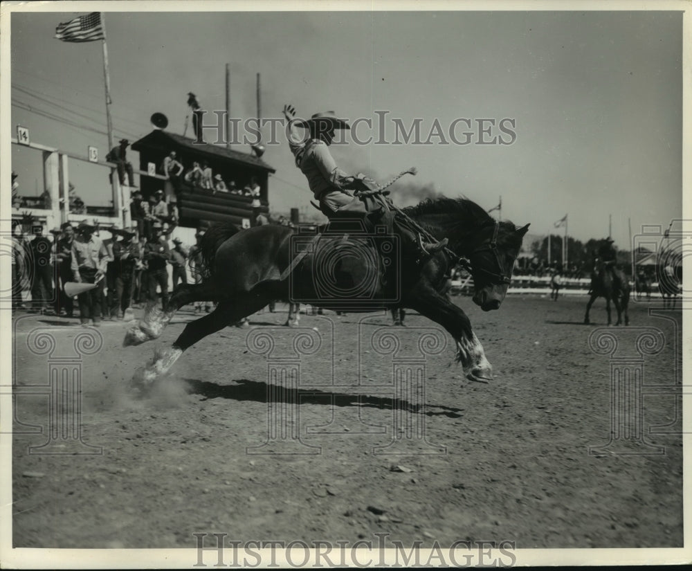 1982 Press Photo Riders compete in Calgary Stampede at Calgary, Alberta- Historic Images