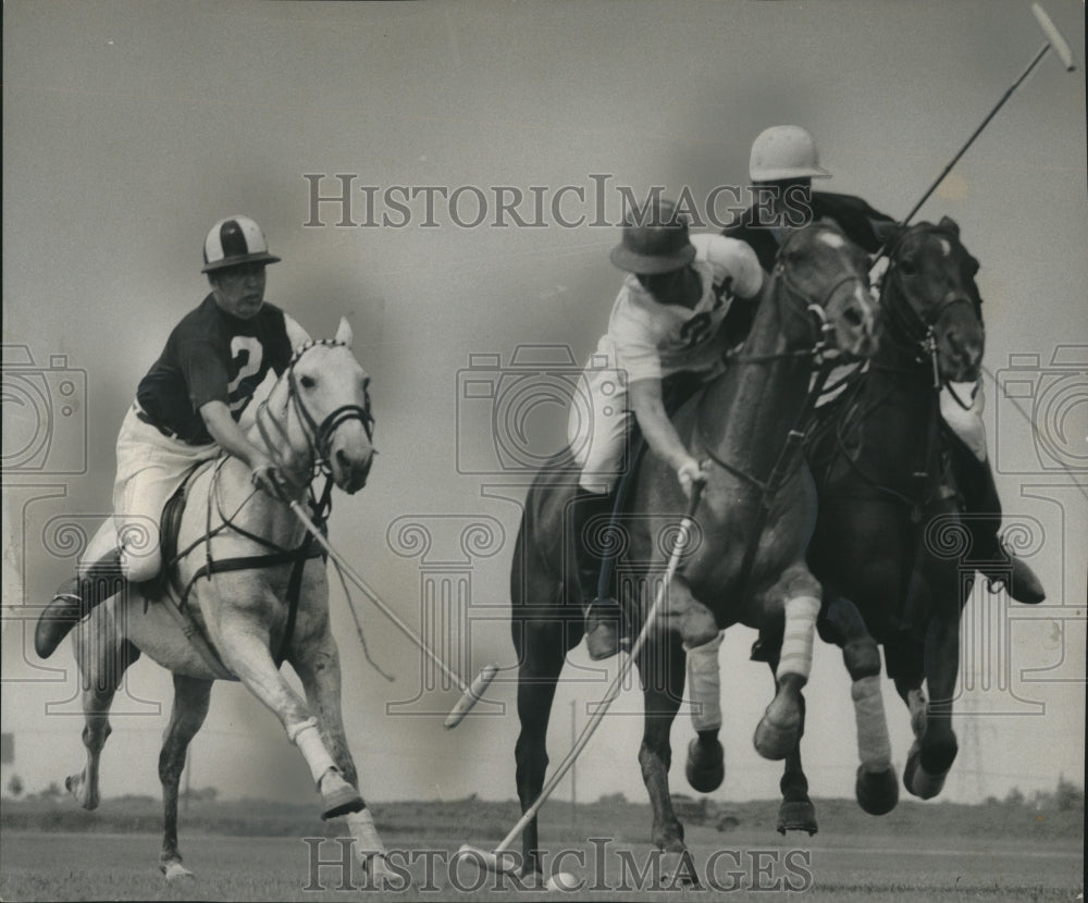 1955 Press Photo Beauty and speed of polo demonstrated by Milwaukee Polo club.- Historic Images