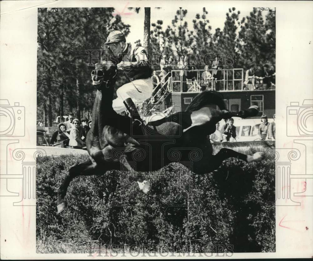 1962 A spill by horse and rider going over hurdle. - Historic Images