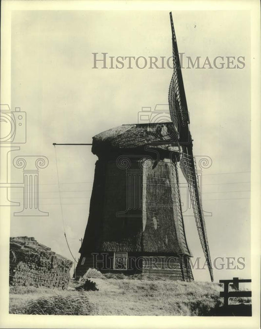 The 'Noord-Hollandse Binnenkruier" In The Netherlands - Historic Images