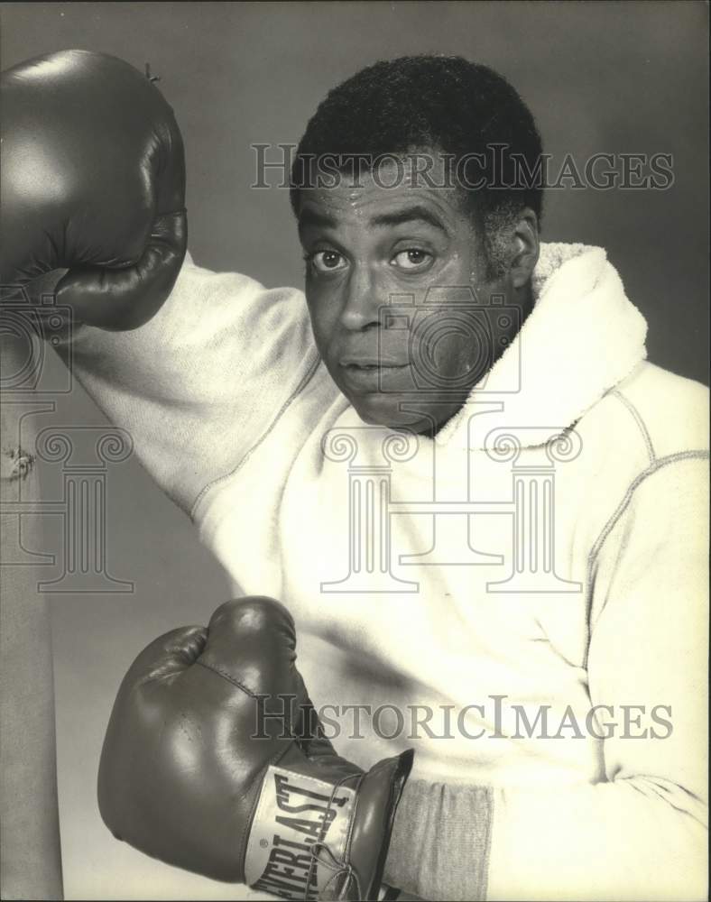 1979 Press Photo James Earl Jones stars as Woody Paris in "Paris," on CBS. - Historic Images