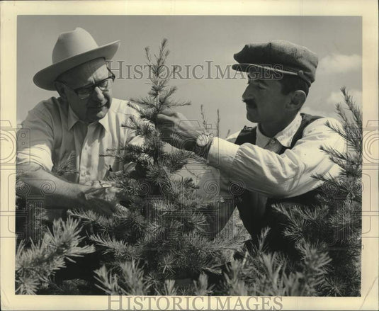 1965 AID is helping Turkey develop her timber industry, George Spaur - Historic Images