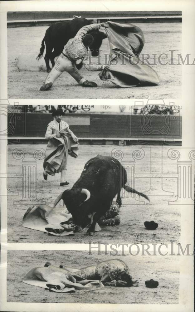 1956 Press Photo Matador Chano Ramos, gets tossed to ground by bull, Mexico City - Historic Images