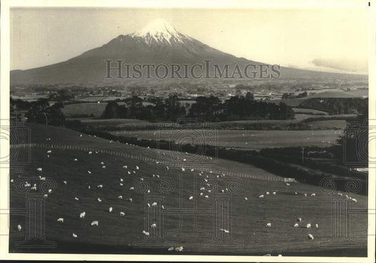 1987 Mount Egmont and sheep in New Zealand - Historic Images