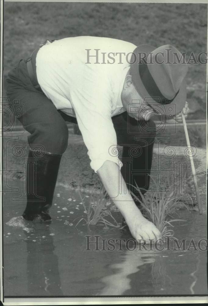 1968 Press Photo Japanese Emperor Hirohito Planting Rice At Imperial Palace - Historic Images