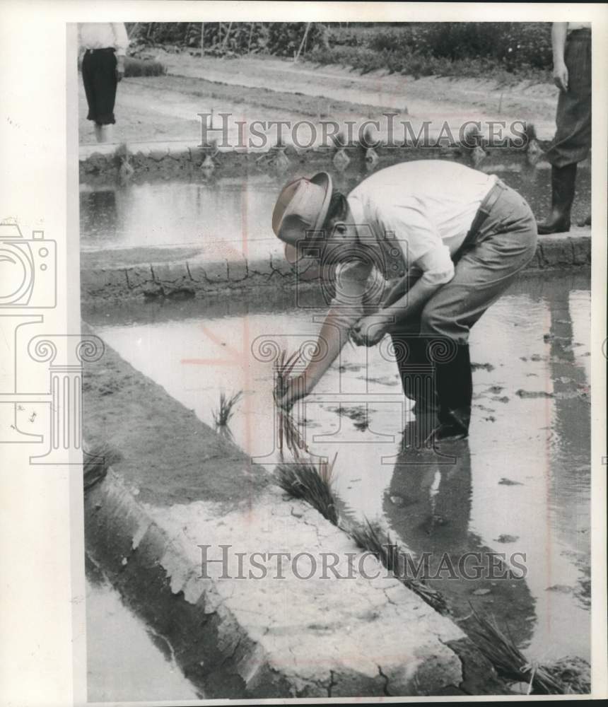 1961 Japanese Emperor Hirohito sets out rice plants in a paddy-Historic Images