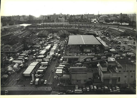 1984 Press Photo Tsukiji Fish Market, Tokyo, Japan - Historic Images