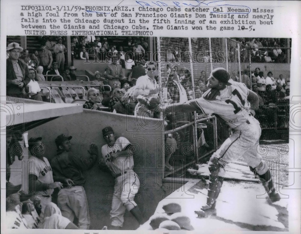 1959 Cubs Catcher Cal Neeman Misses Foul From Giant Don Taussig - Historic Images