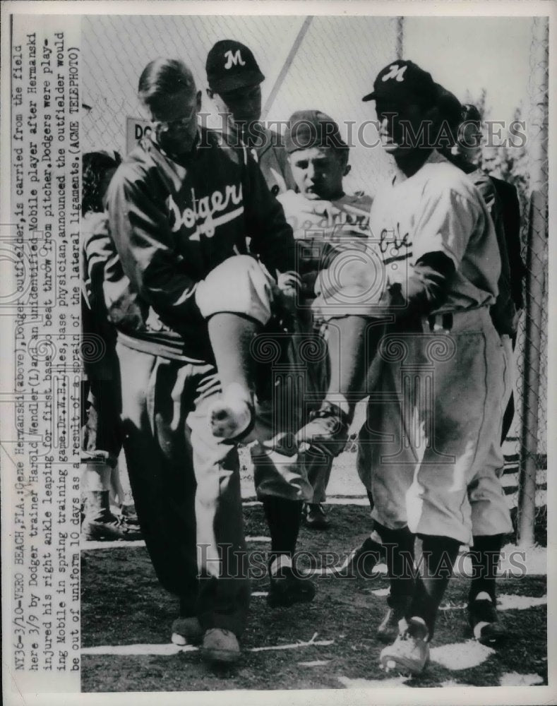 1950 Dodger Outfielder Trainer Harold Wendler - Historic Images