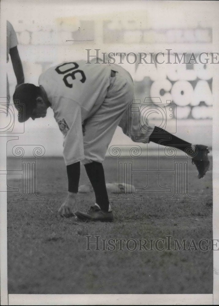 1939 Bucky Harris, Manager of the Washington Nationals Picking Grass - Historic Images