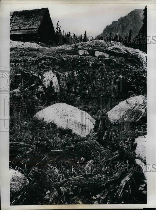 1968 Holy Cross City Mining Town of 1883 Sawatch Mountains - Historic Images
