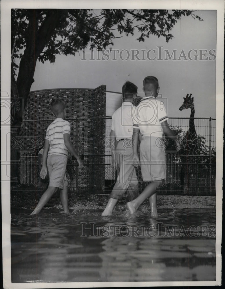 1961 The Audubon Park Zoo in New Orleans floods after a rainfall - Historic Images