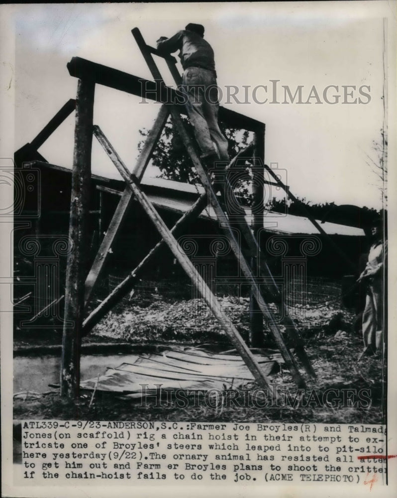 1949 S Carolina Farmer Joe Broyles Talmad Jones attempt steer rescue - Historic Images