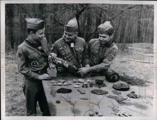 1959 Press Photo Boy Scouts at camp in the woods - Historic Images