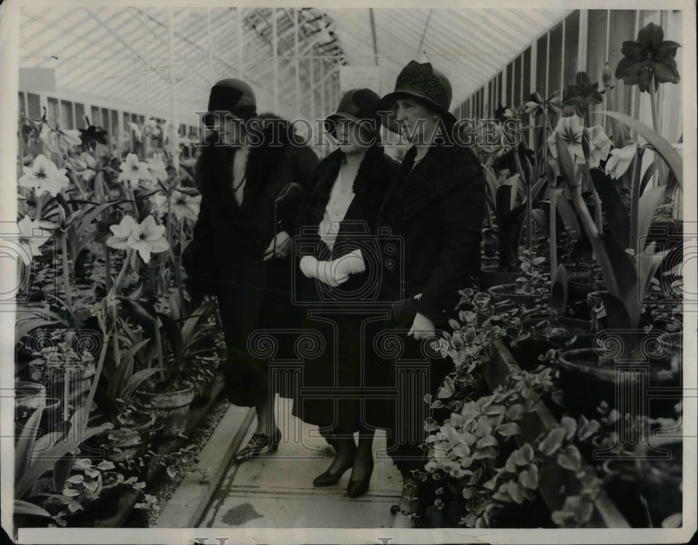 1931 Press Photo Mrs. R. W. Dunlap, Mrs, William N. Doak &amp; Mrs. Arthur Hyde-Historic Images