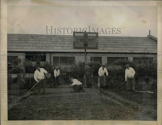 1943 Press Photo New York Police Planting vegetables in their Basketball Court. - Historic Images