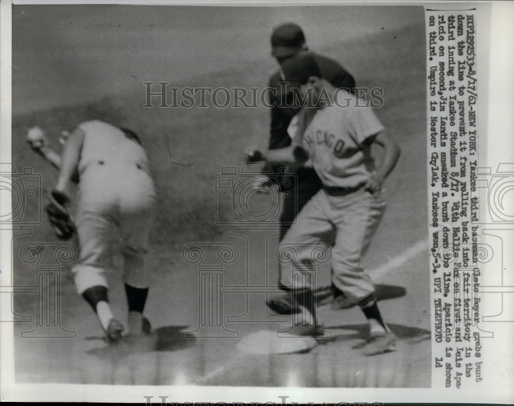 1961 Press Photo Yankees Clete Boyer grabs bunt down the line with Nallie Fox. - Historic Images