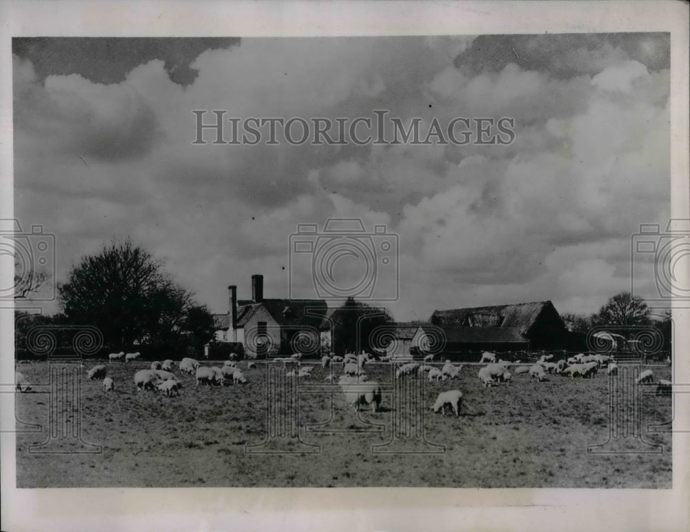 1935 Press Photo Rural Suffolk in Summer Farmers England - Historic Images