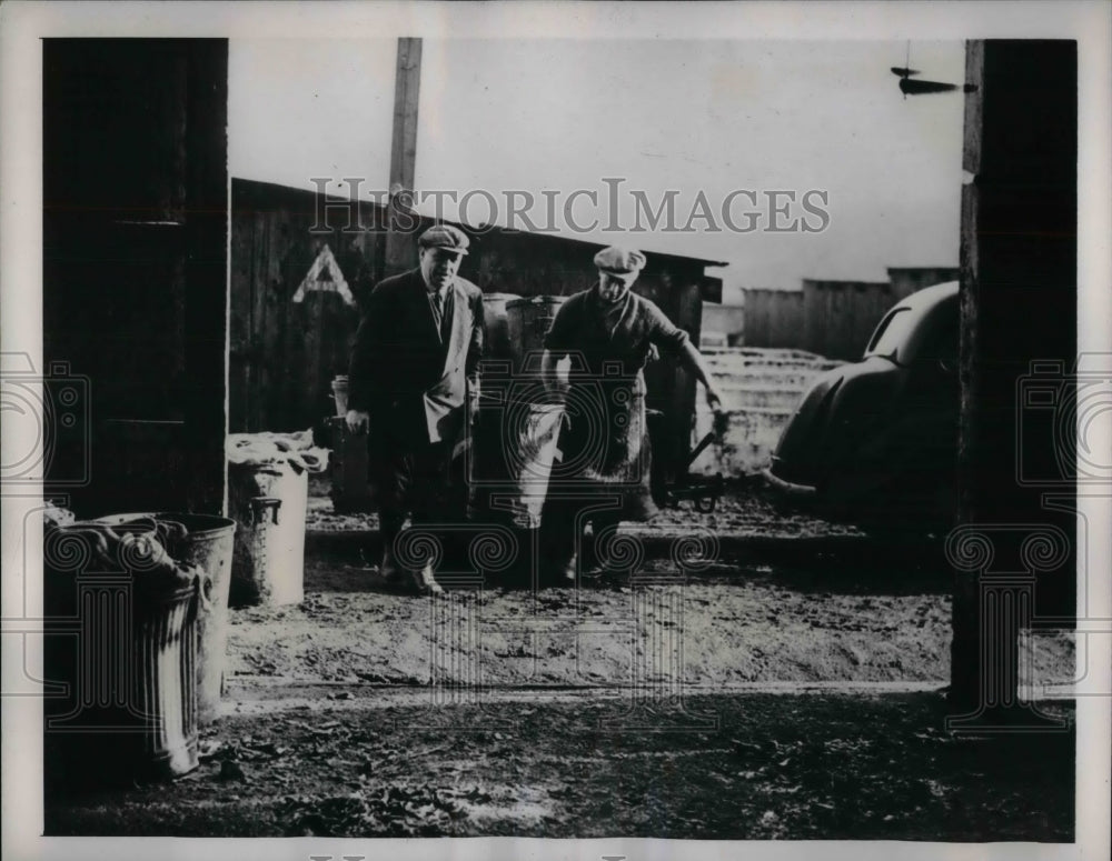 1941 Press Photo Scrapps fed to pigs on a British farm - nea25419 - Historic Images