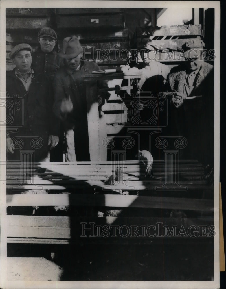 1934 Press Photo Turkeys on way to slaughter for Thanksgiving in NY - nea25552 - Historic Images