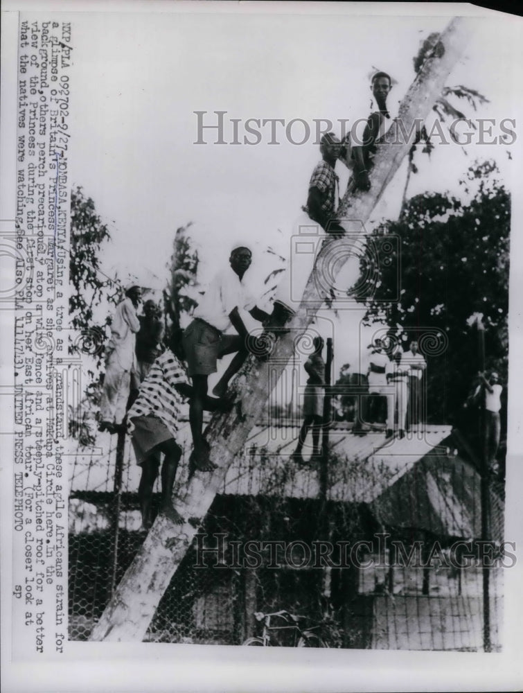 1956 Press Photo Trees and Fences Used to See Princess Margaret in Kenya - Historic Images