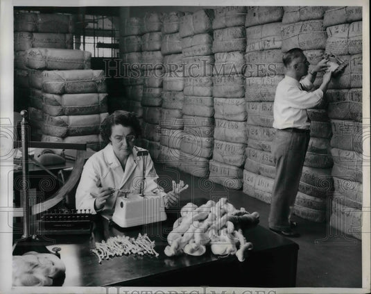 1947 Press Photo Woman operator determining size of raw silk used for fabrics - Historic Images