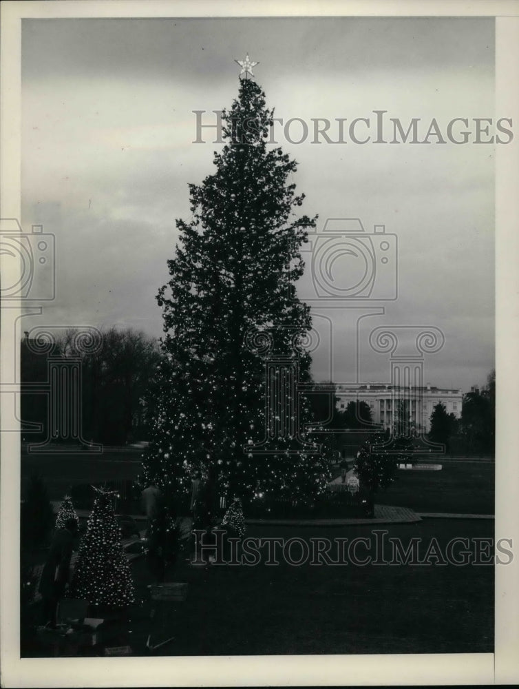 1956 Press Photo White House Christmas Tree - Historic Images