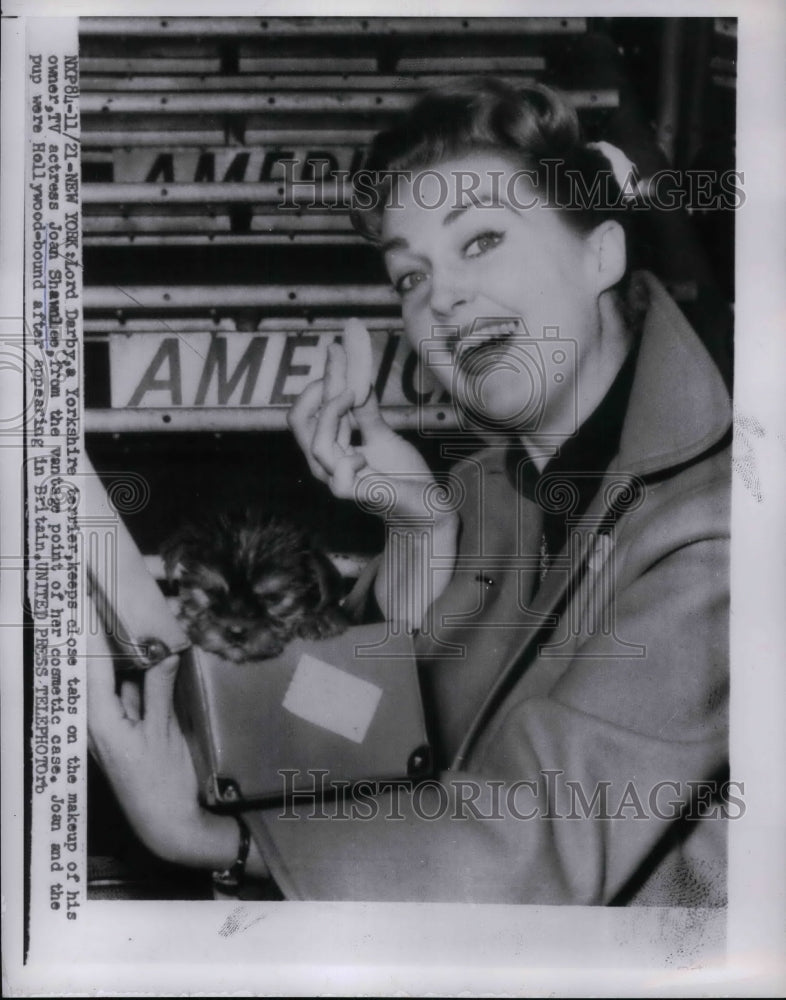 1954 Press Photo Actress Joan Shawnlee &amp; her terrier dog in NYC - Historic Images