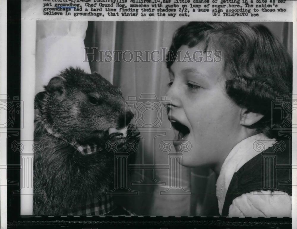 1960 Press Photo A boy and his pet groundhog - nea30328 - Historic Images