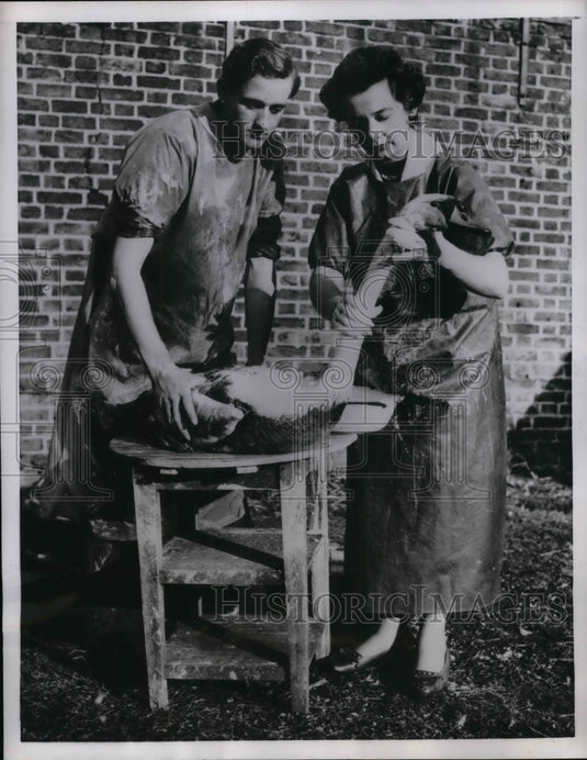 1956 Press Photo Die Coated Swan Being Cleaned in London After Oil Spill - Historic Images