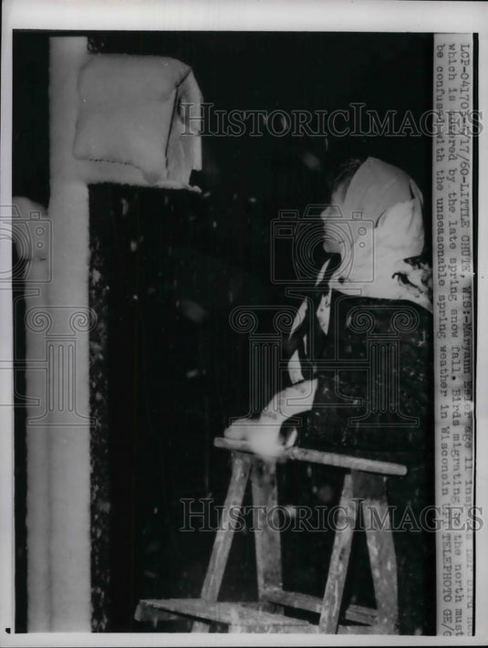 1960 Press Photo Maryann Esler Checks Bird Nest Box, Little Chute, Wisconsin - Historic Images