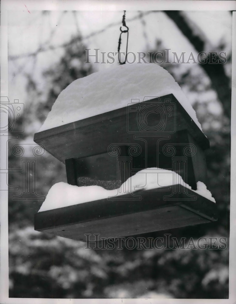 1954 Press Photo Birds Abandon Snow Covered Bird Feeder, Larchmont, New York-Historic Images