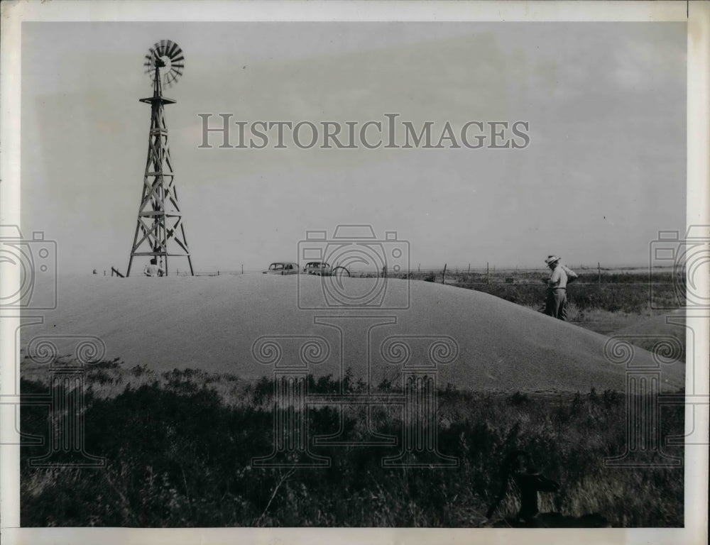 1946 Press Photo Huge mound of Wheat lies at the ground due to storage Elevator. - Historic Images