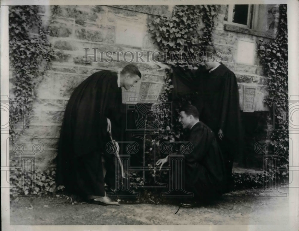 1933 Press Photo Princeton University Student Dubois S. Morris Jr. Planting Ivy - Historic Images