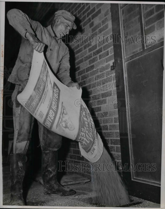 1946 Phillip Folk Contributing Wheat For European Families - Historic Images