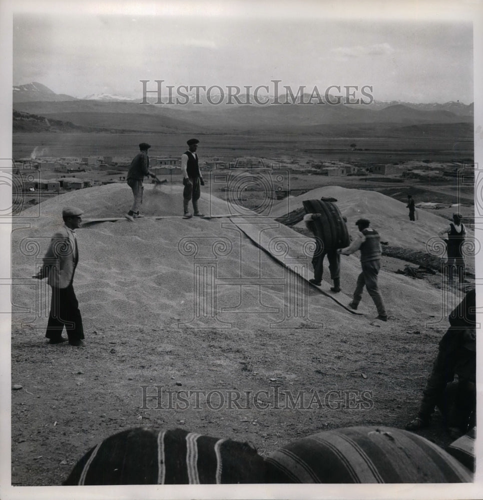 1947 Press Photo View Of Turkish Farmers Carrying Harvest Of Grain To Assembly - Historic Images